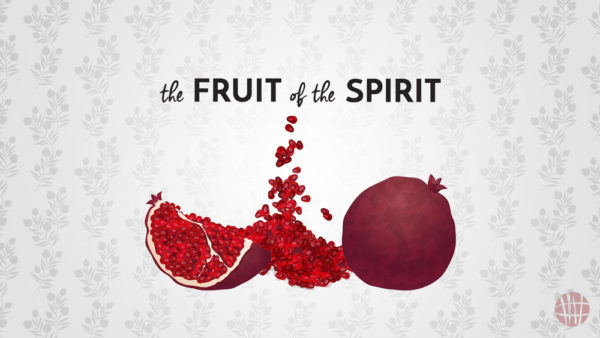 The Fruit of the Spirit | Self-Control Image