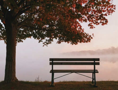 The Bench