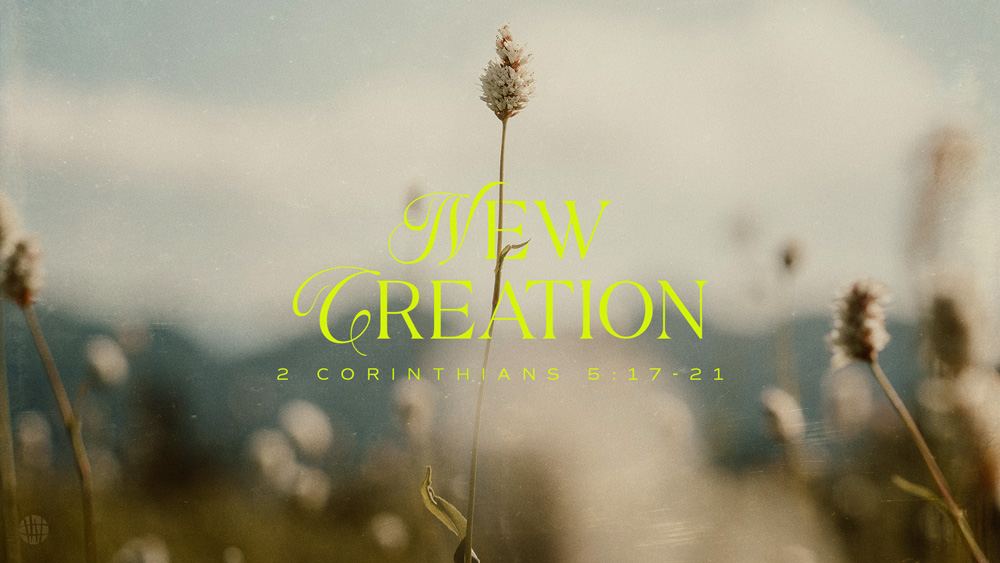 New-Creation